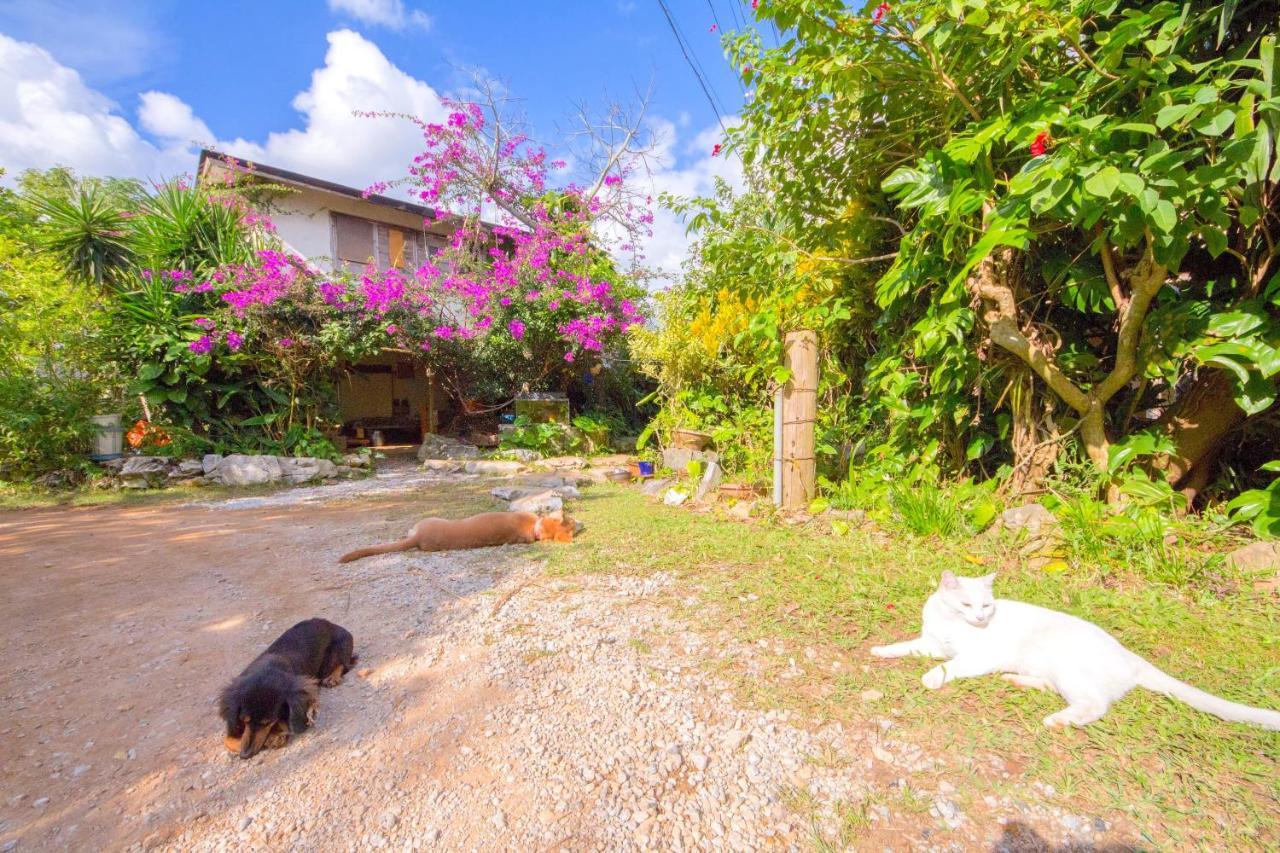 Villa Muumin Farm Nakijin Exterior foto